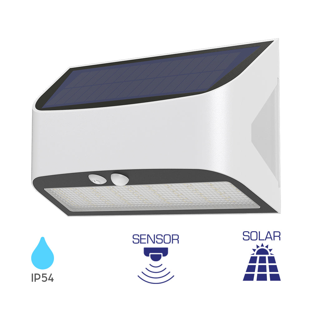 Braytron Led Solar lámpatest 6W 600Lm 6500K BG36-00140