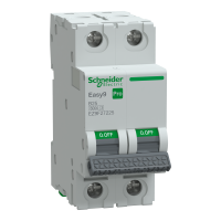 SCHNEIDER EASY9 PRO Kismegszakító,autómata 2P, B, 25A