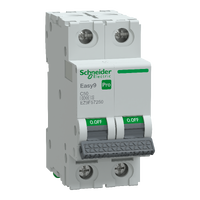 SCHNEIDER EASY9 PRO Kismegszakító,autómata 2P, C, 50A